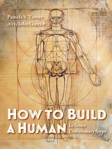 How To Build A Human In Seven Evolutionary Steps Pamela S Turner