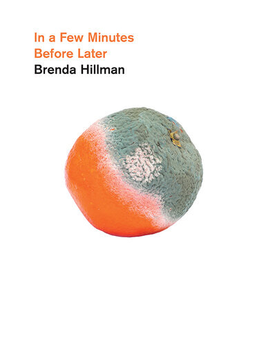 In A Few Minutes Before Later Brenda Hillman