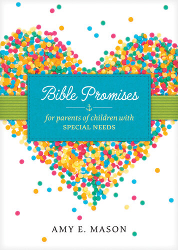 Bible Promises For Parents Of Children With Special Needs Amy E Mason