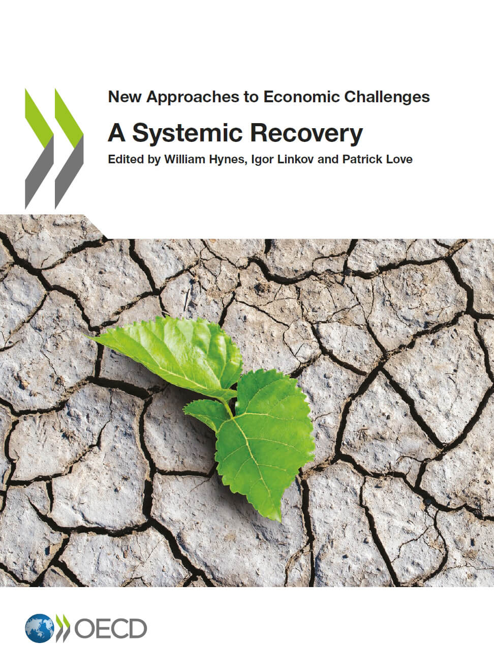 A Systemic Recovery Oecd William Hynes Igor Linkov Patrick Love