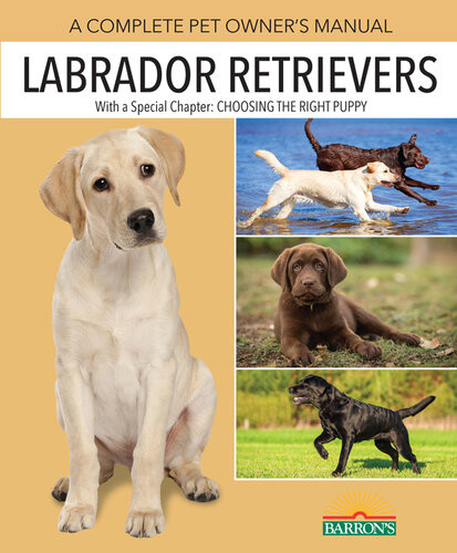 Labrador Retrievers A Complete Pet Owners Manual Joan H Walker