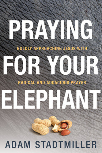 Praying For Your Elephant Boldly Approaching Jesus With Radical And Audacious Prayer Adam Stadtmiller