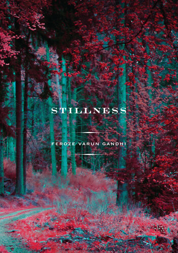 Stilness Varun Gandhi