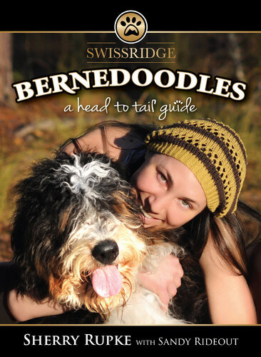 Bernedoodles A Head To Tail Guide Sherry Rupke