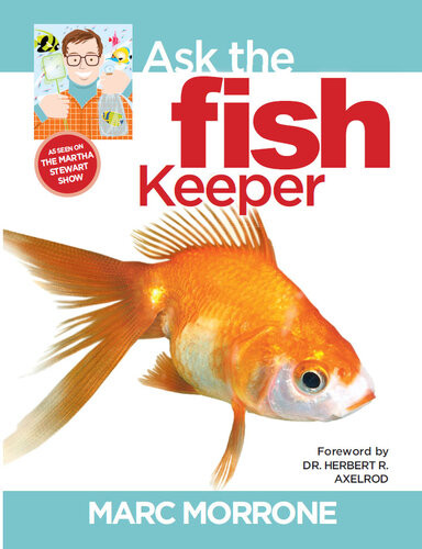 Marc Morrones Ask The Fish Keeper Marc Morrone