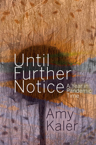 Until Further Notice A Year In Pandemic Time Amy Kaler
