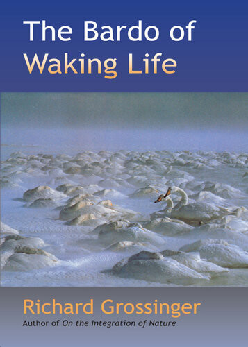 The Bardo Of Waking Life Richard Grossinger Mary Stark