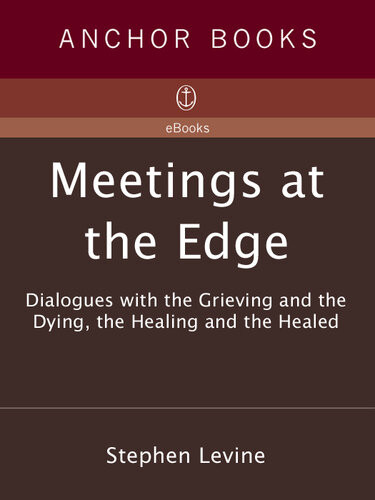 Meetings At The Edge Dialogues With The Grieving And The Dying The Healing And The Healed Stephen Levine