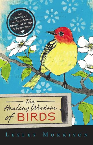 The Healing Wisdom Of Birds An Everyday Guide To Their Spiritual Songs Symbolism Lesley Morrison