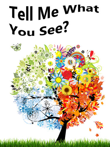 Tell Me What You See A Childrens Picture Book Shannon Hale