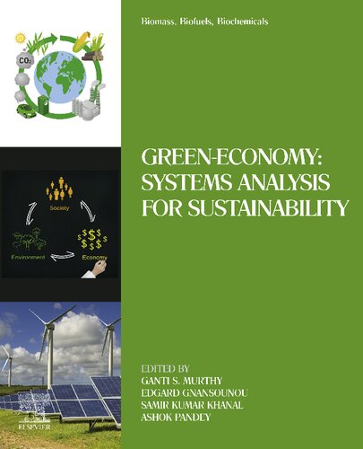 Biomass Biofuels Biochemicals Greeneconomy Systems Analysis For Sustainability Ganti S Murthy