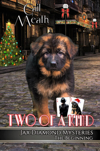 Two Of A Kind The Beginning Gail Meath
