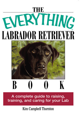 The Everything Labrador Retriever Book A Complete Guide To Raising Training And Caring For Your Lab Kim Campbell Thornton