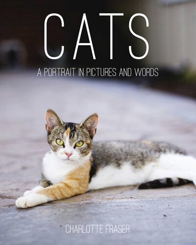 Cats A Portrait In Pictures And Words Charlotte Fraser