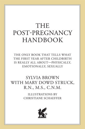 The Postpregnancy Handbook The Only Book That Tells What The First Year After Childbirth Is Really All Aboutphysically Emotionally Sexually Sylvia Brown Mary Dowd Struck
