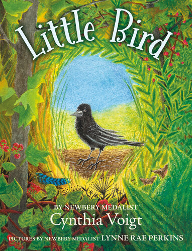 Little Bird Cynthia Voigt