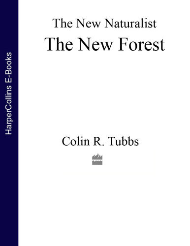 The New Forest Colin R Tubbs