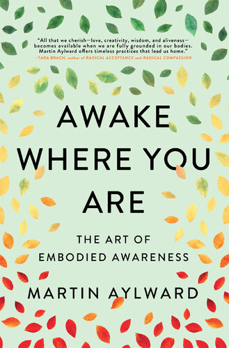 Awake Where You Are The Art Of Embodied Awareness Martin Aylward