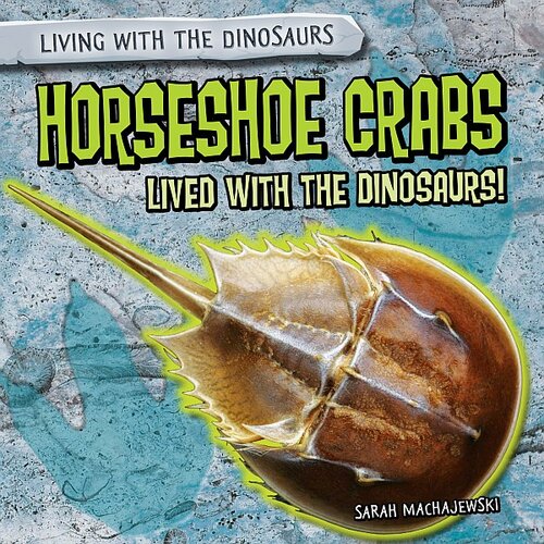 Horseshoe Crabs Lived With The Dinosaurs Sarah Machajewski
