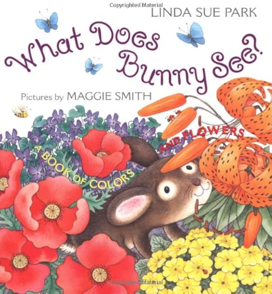 What Does Bunny See Linda Sue Park