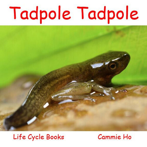 Tadpole Tadpole Cammie Ho