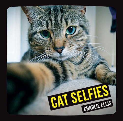Cat Selfies Charlie Ellis
