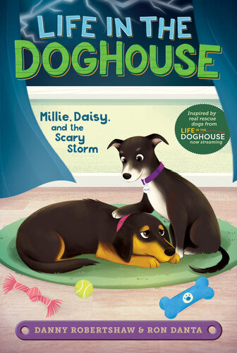 Millie Daisy And The Scary Storm Danny Robertshaw Ron Danta Crystal Velasquez