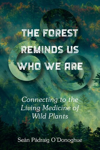 The Forest Reminds Us Who We Are Connecting To The Living Medicine Of Wild Plants Sean Padraig Odonoghue