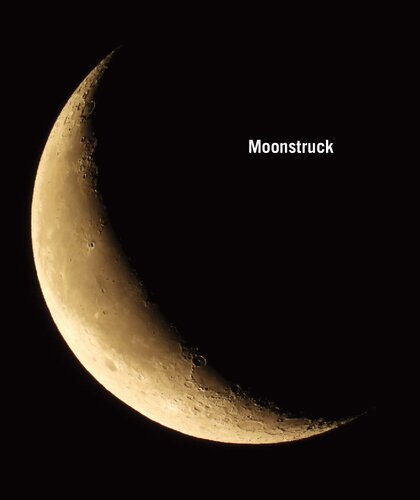 Moonstruck The Interplay Of Celestial Bodies In Pictures Edition Angewandte 1st Edition Georg Glaeser
