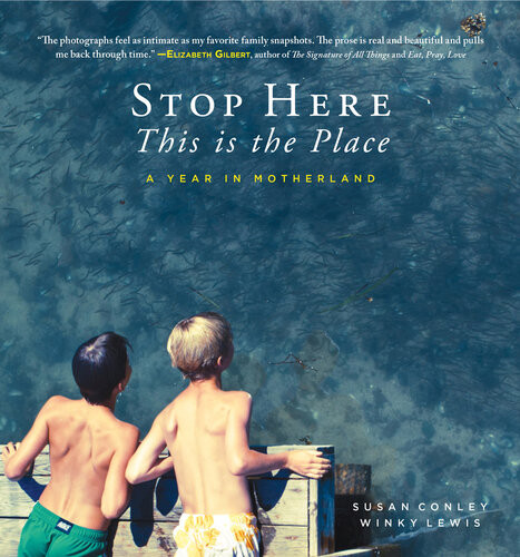 Stop Here This Is The Place A Year In Motherland Photographic Illustrations Poems Susan Conley