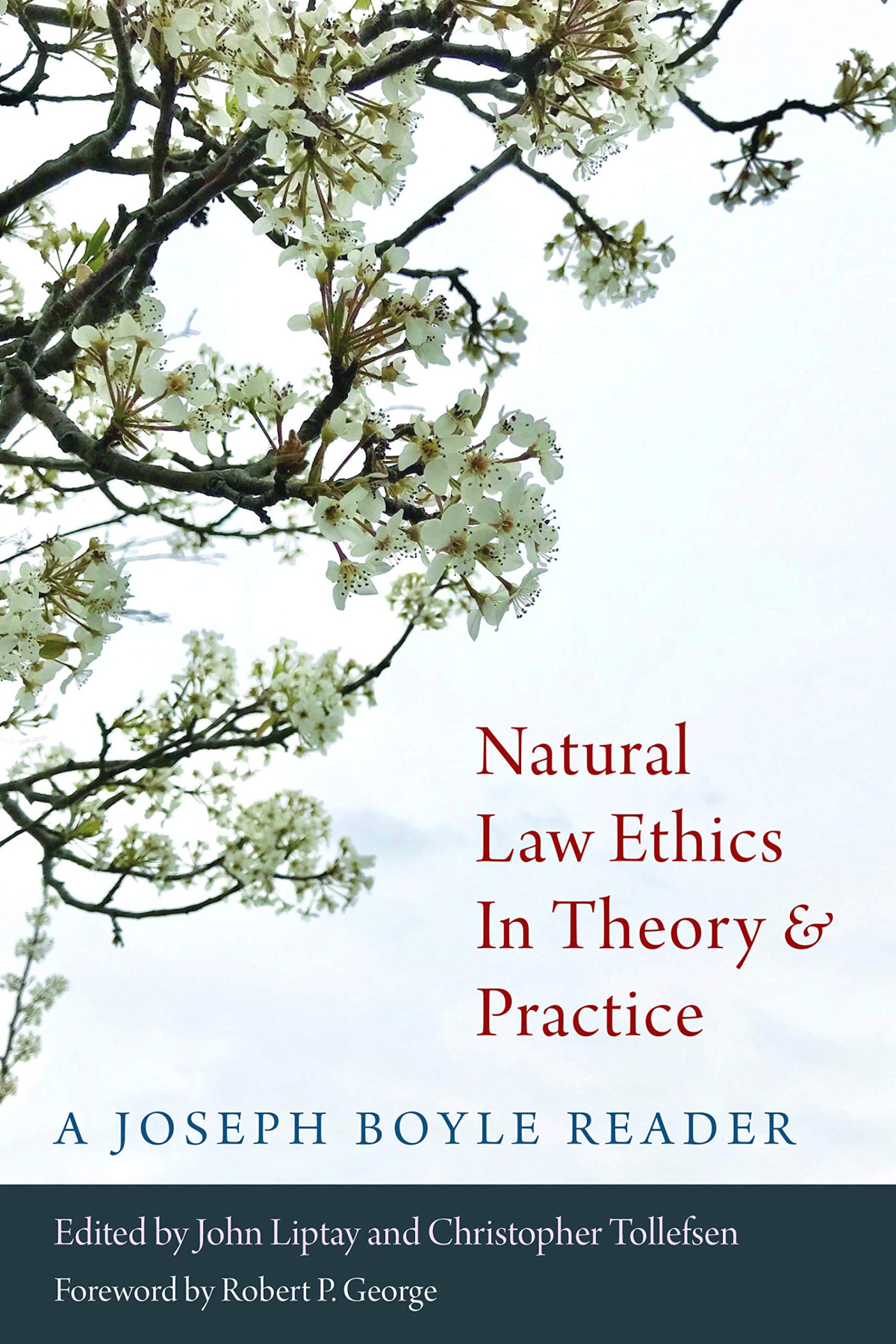 Natural Law Ethics In Theory And Practic A Joseph Boyle Reader Joseph Boyle