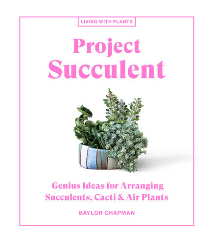 Project Succulent Genius Ideas For Arranging Succulents Cacti Air Plants Baylor Chapman