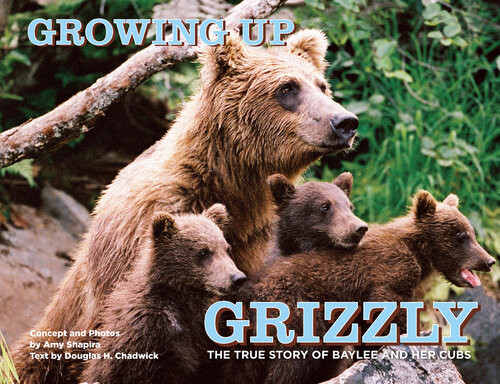 Growing Up Grizzly The True Story Of Baylee And Her Cubs Amy Shapira Douglas Chadwick