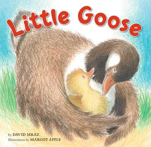 Little Goose David Mraz