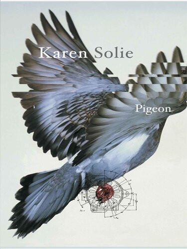 Pigeon Karen Solie