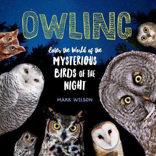 Owling Mark Wilson
