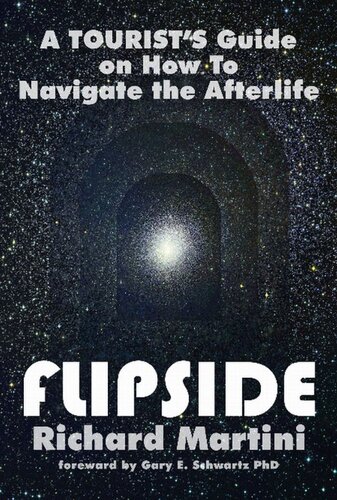 Flipside A Tourists Guide On How To Navigate The Afterlife Richard Martini