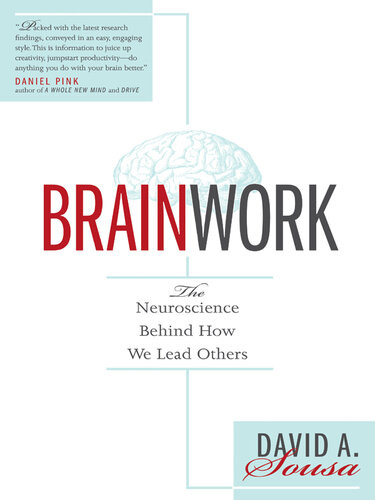 Brainwork David A Sousa