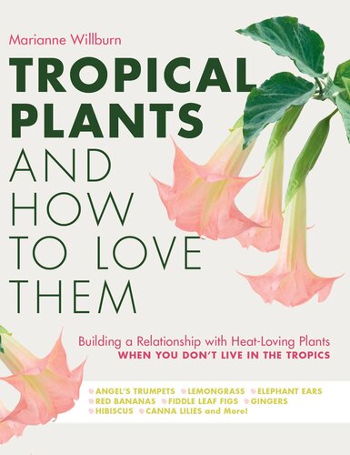 Tropical Plants And How To Love Them Building A Relationship With Heatloving Plants When You Dont Live In The Tropicsangels Trumpets Lemongrass Elephant Ears Red Bananas Fiddle Leaf Figs Gingers Hibiscus Canna Lilies And More Marianne Willburn