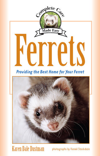 Ferrets Providing The Best Home For Your Ferret Karen Dale Dustman