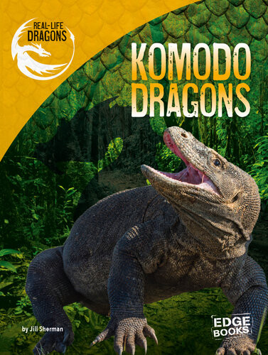 Komodo Dragons Maddie Spalding