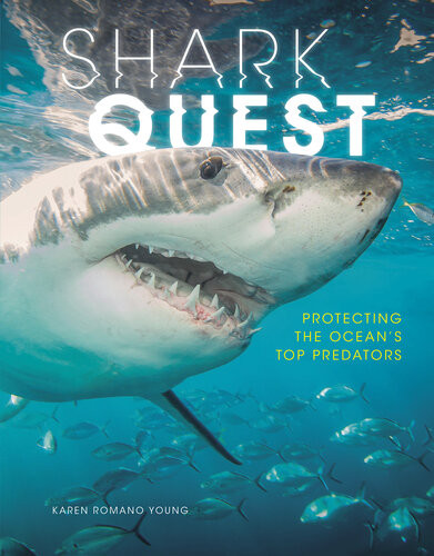 Shark Quest Protecting The Oceans Top Predators Karen Romano Young