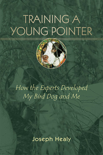 Training A Young Pointer How The Experts Developed My Bird Dog And Me Joseph Healy