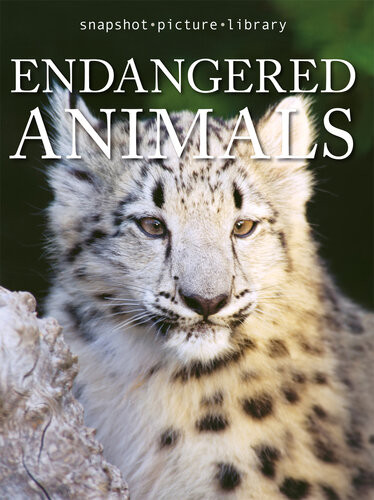 Endangered Animals Snapshot Picture Library Thomas Downs