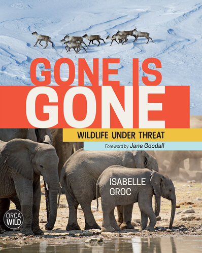 Gone Is Gone Wildlife Under Threat Isabelle Groc