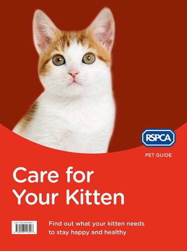 Care For Your Kitten Rspca Pet Guide Rspca