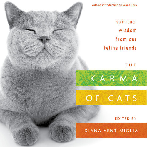 The Karma Of Cats Spiritual Wisdom From Our Feline Friends Various Authors