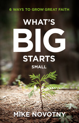 Whats Big Starts Small 6 Ways To Grow Great Faith Mike Novotny