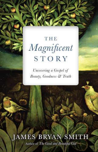 The Magnificent Story Uncovering A Gospel Of Beauty Goodness And Truth James Bryan Smith