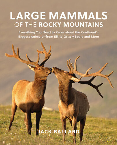 Large Mammals Of The Rocky Mountains Everything You Need To Know About The Continents Biggest Animalsfrom Elk To Grizzly Bears And More Jack Ballard